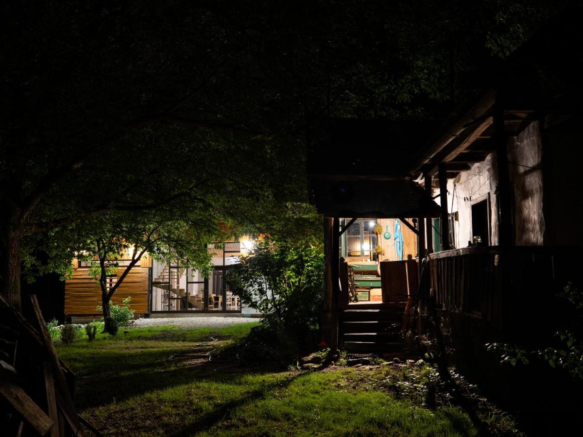 Aster Panzio Bed & Breakfast Cîmpu Cetăţii Exterior foto