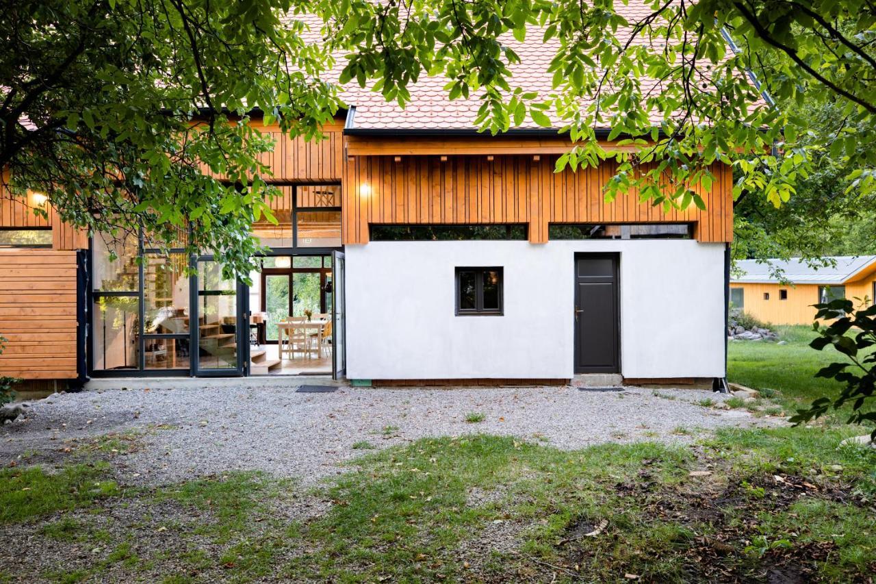Aster Panzio Bed & Breakfast Cîmpu Cetăţii Exterior foto