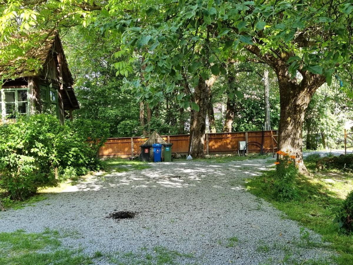 Aster Panzio Bed & Breakfast Cîmpu Cetăţii Exterior foto