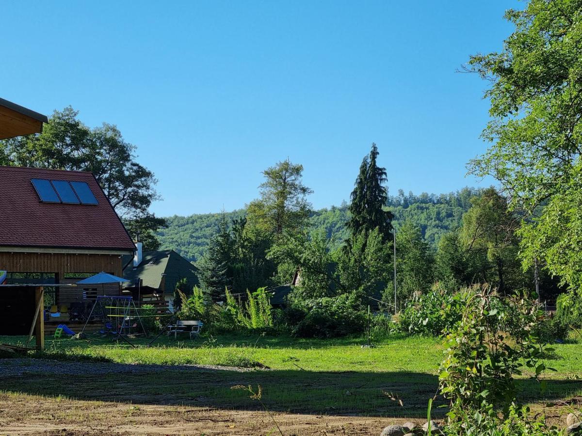 Aster Panzio Bed & Breakfast Cîmpu Cetăţii Exterior foto