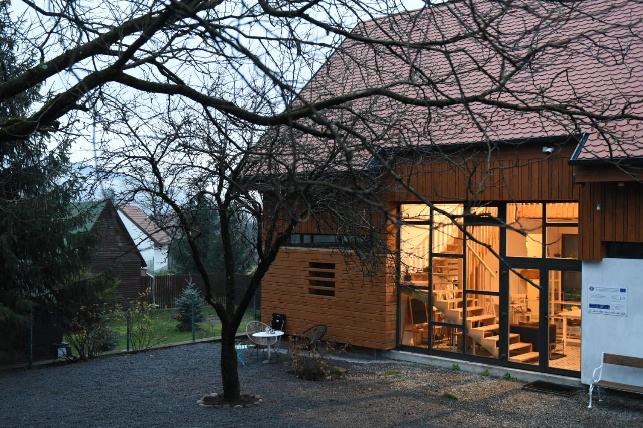 Aster Panzio Bed & Breakfast Cîmpu Cetăţii Exterior foto