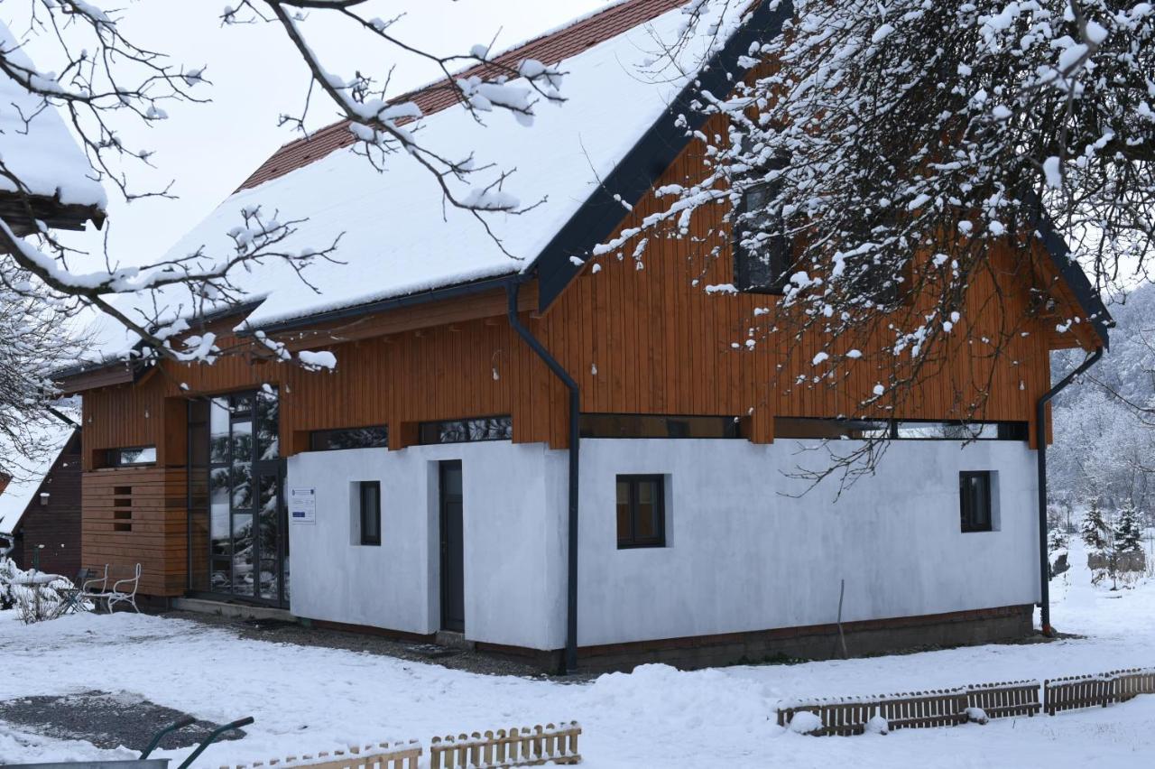 Aster Panzio Bed & Breakfast Cîmpu Cetăţii Exterior foto
