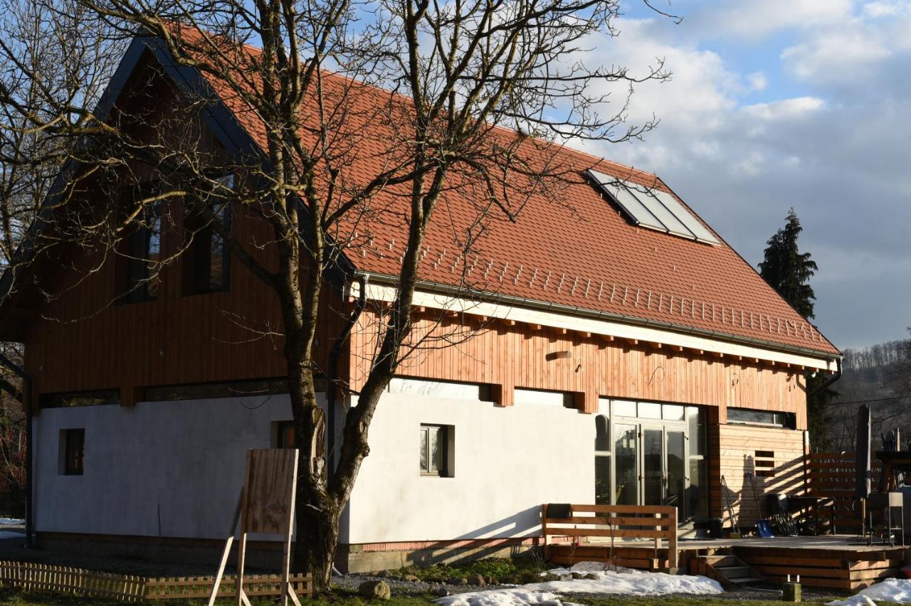 Aster Panzio Bed & Breakfast Cîmpu Cetăţii Exterior foto